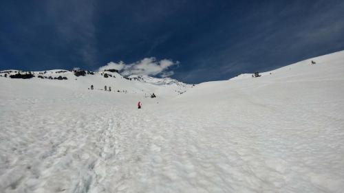 20170524 153442 HDR