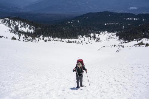 Shasta