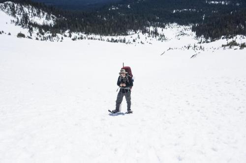 Shasta