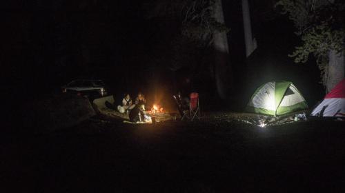 nite-camp 35401292711 o