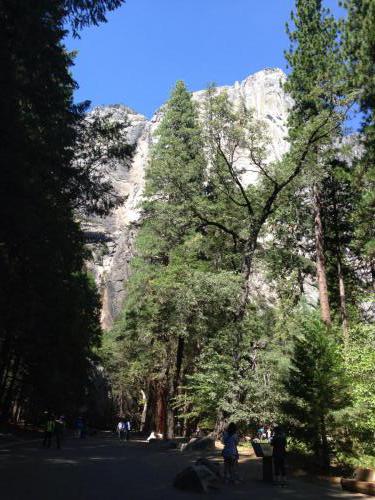 yosemite-2013 9608398231 o