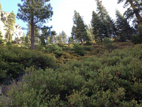 yosemite-2013 9611851752 o